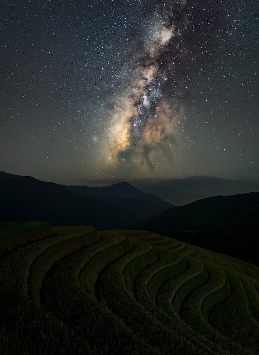 Disability Rights in Education