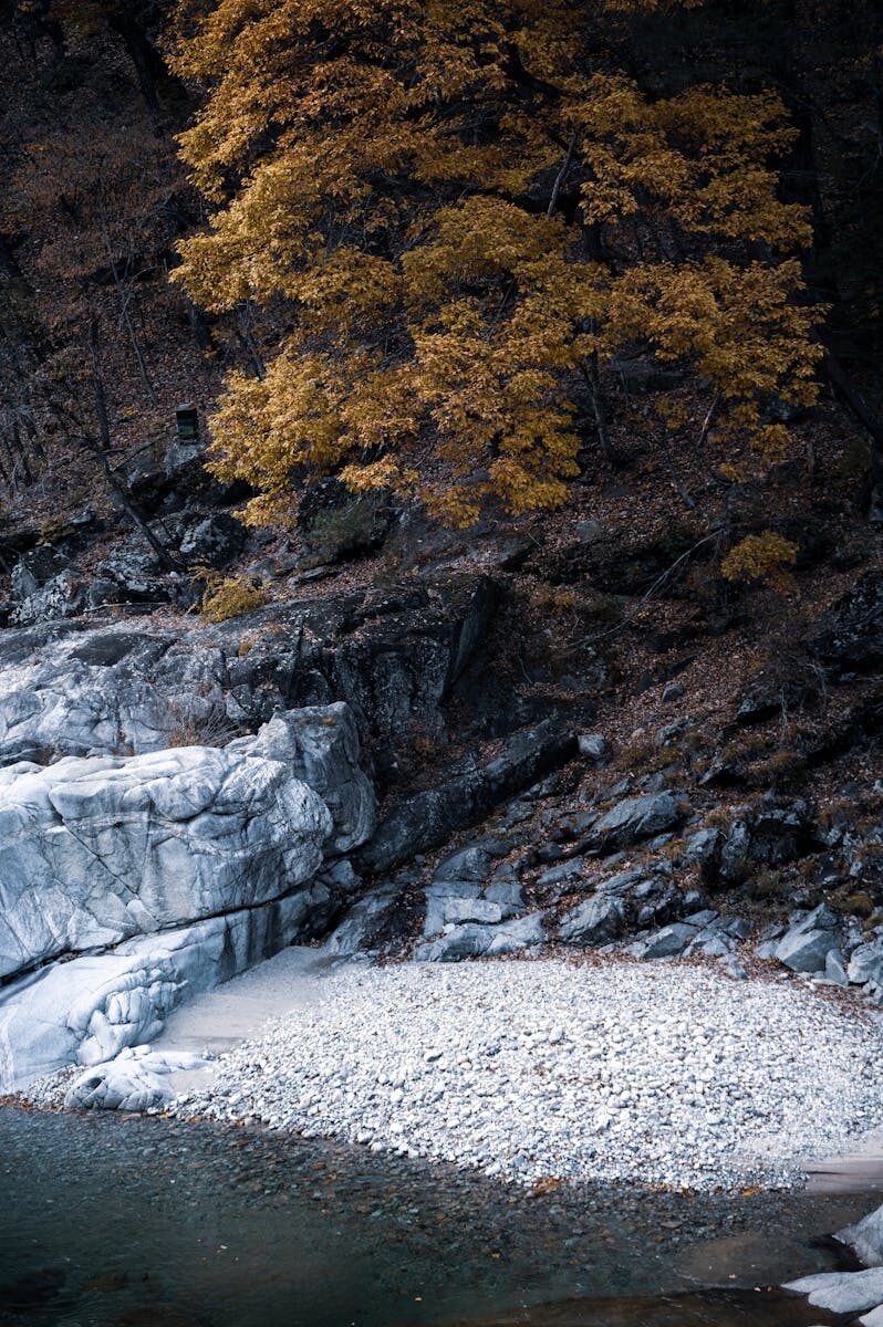 School Safety Infrastructure