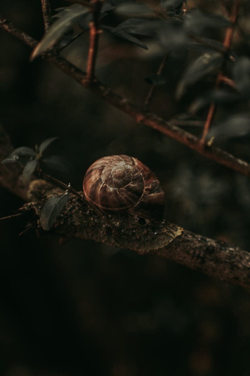 Franchisee Liability Issues