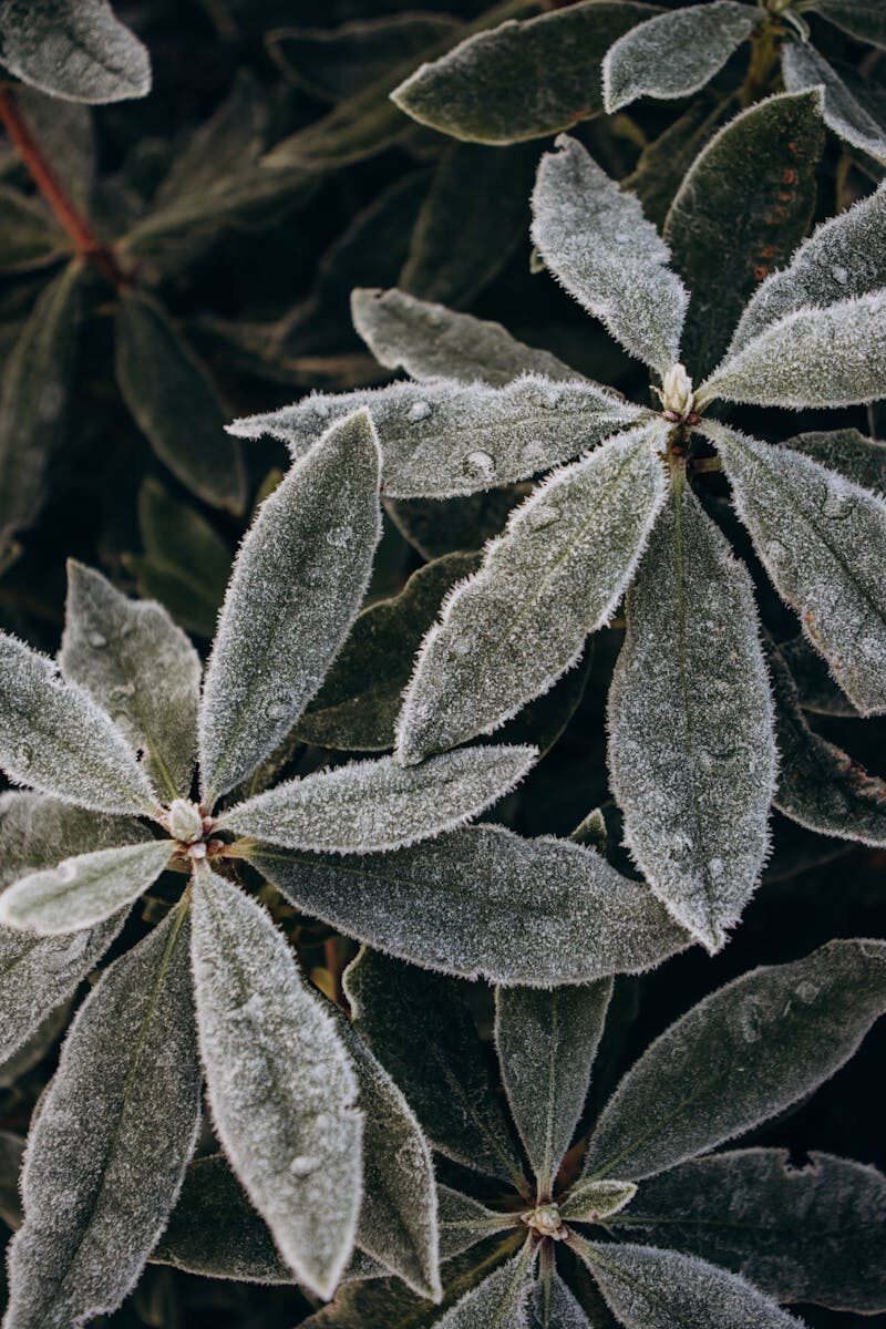 Legal Standards for School Safety